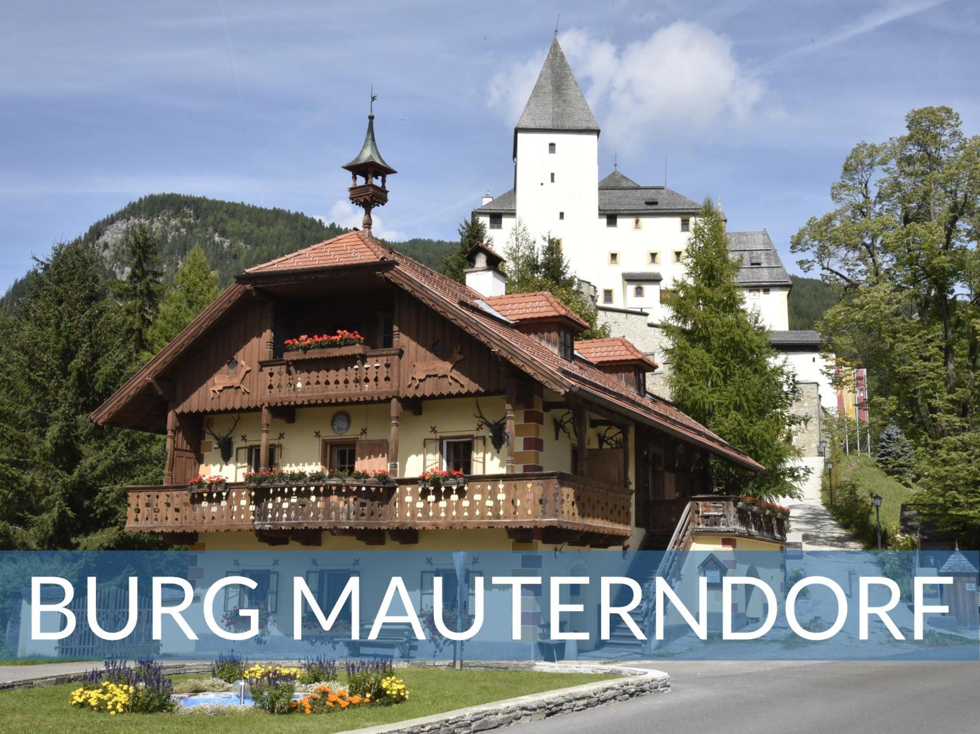 Heimathaus Dengg - Ferienwohnungen - Sommerfrische In Den Alpen Mauterndorf  Extérieur photo