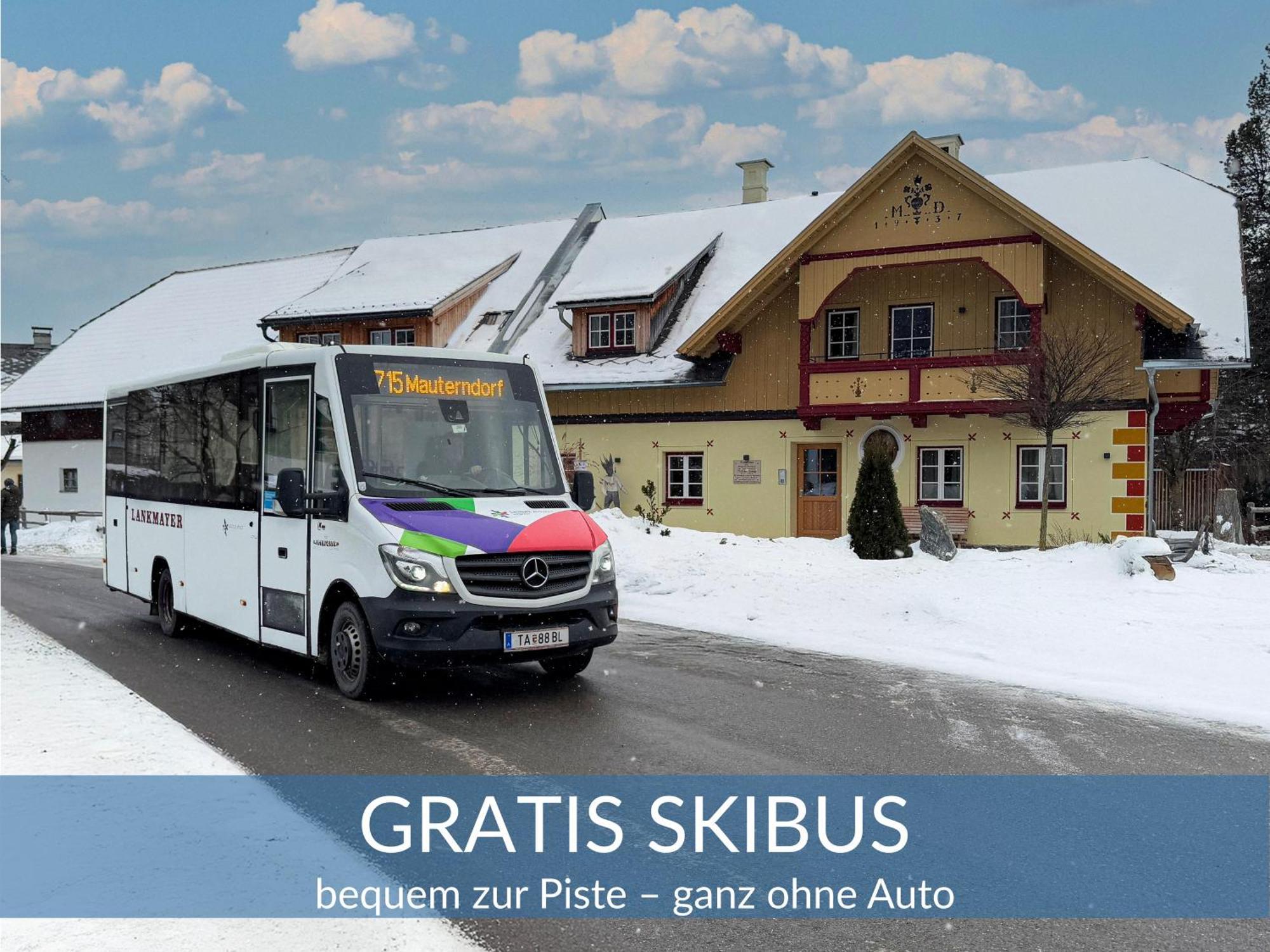 Heimathaus Dengg - Ferienwohnungen - Sommerfrische In Den Alpen Mauterndorf  Extérieur photo